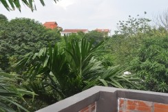 Picture 005