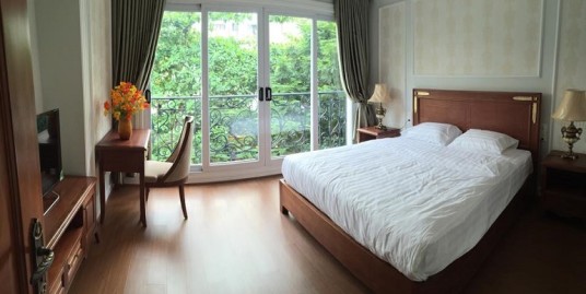 Serviced apartment in Hai Ba Trung district for rent
