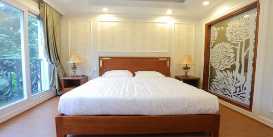 Brand new apartment in Hai Ba Trung Hanoi