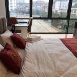 apartment in pham huy thong