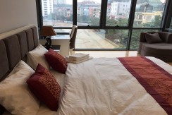 apartment in pham huy thong