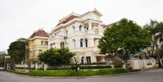 Renovated villa in Ciputra for rent