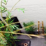 Serviced apartment in Phan Chu Trinh