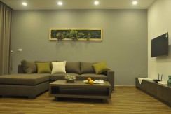 Apartments in Tay Ho