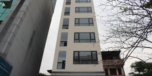 Serviced apartments Ba Dinh for rent on Linh Lang street