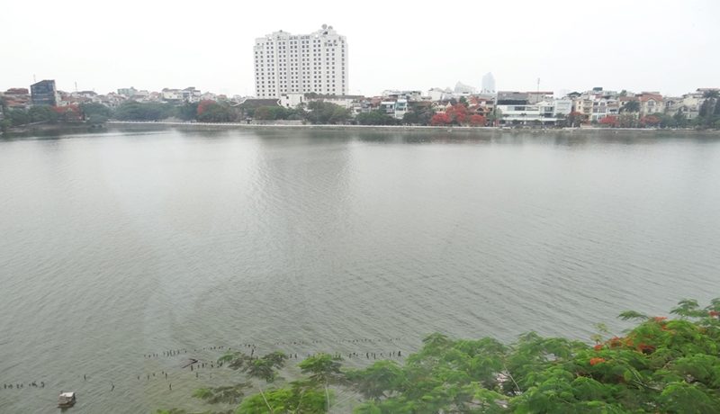 10.view