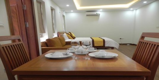 Studio apartment in Dong Da for rent