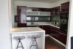 Căn hộ hiện đại tại Xuân Diệu cho thuê