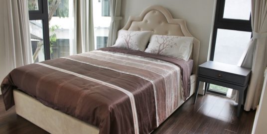 Modern apartment in Xuan Dieu for rent