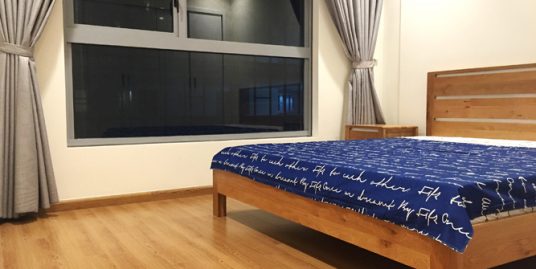 Brand new apartment in Vinhomes Nguyen Chi Thanh