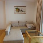 Brand new apartment for rent Indochina Plaza