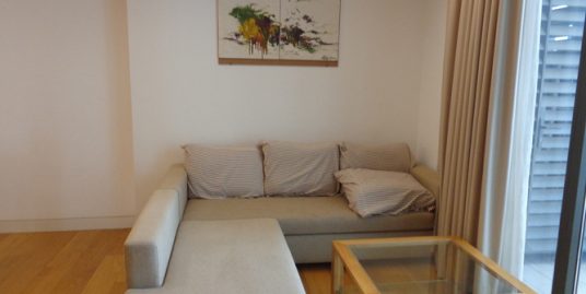 Modern apartment for rent Indochina Plaza