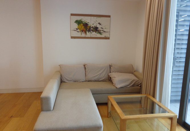 Brand new apartment for rent Indochina Plaza