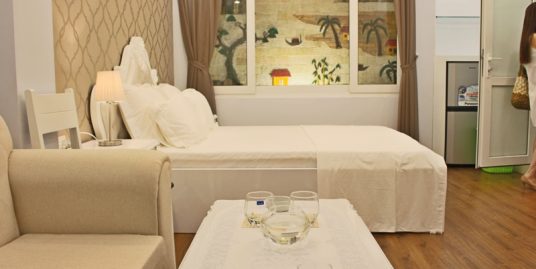 Lovely Studio Apartment Trung Kinh for rent.