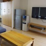 nice lakeview serviced apartment 02