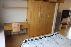 nice lakeview serviced apartment 04