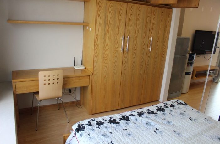 nice lakeview serviced apartment 04