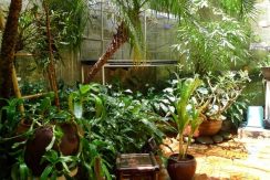 house in hoan kiem (5)