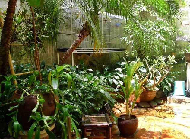 house in hoan kiem (5)