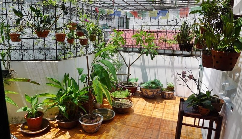 house in hoan kiem (6)
