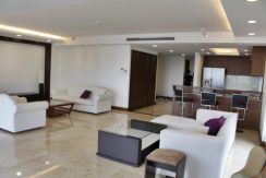 serviced apartment for rent in Xuan Dieu