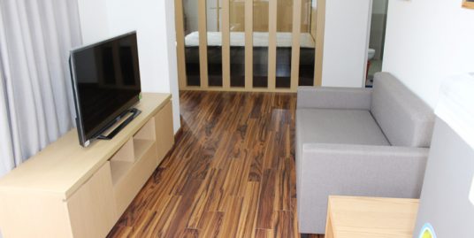 New budget serviced apartment Nguyen Hong