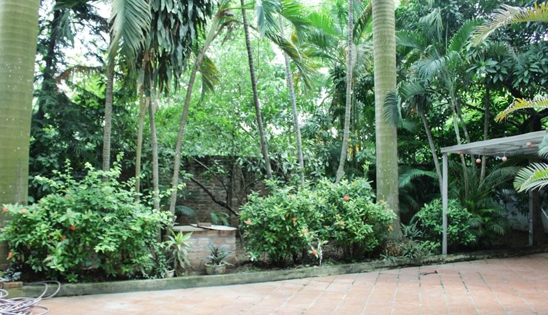 villa in tay ho (2)