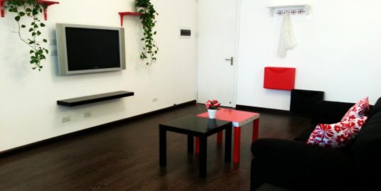 Nice apartment with 01 bedroom in Pham Hung