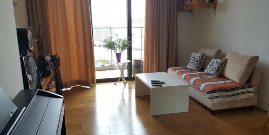 Apartments in Indochina plaza for rent with 2 bedrooms