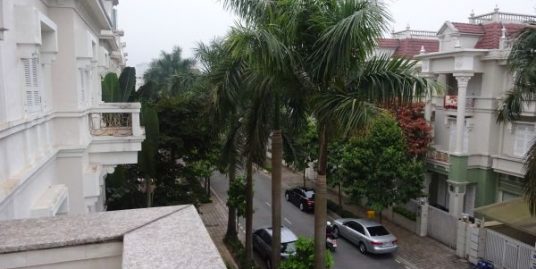Villa in Ciputra 05 bedrooms for rent