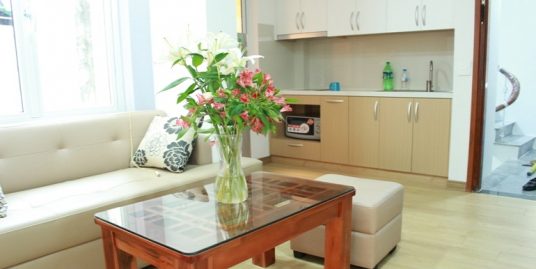 Brand new serviced apartment for rent in Ba Dinh