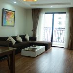 Two-bedroom apartment in Times City