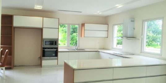 Vinhomes Riverside Villa Rental in Hoa Sua block