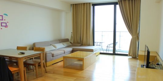 Apartment Indochina plaza for rent