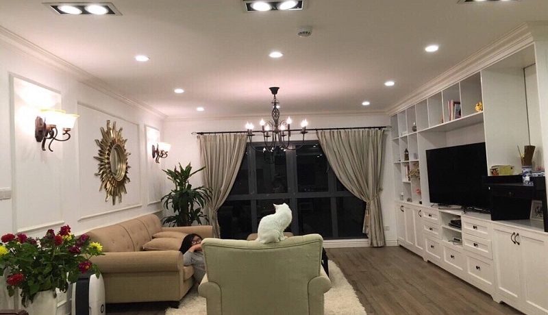 Mulberry Lane Apartment Rentals