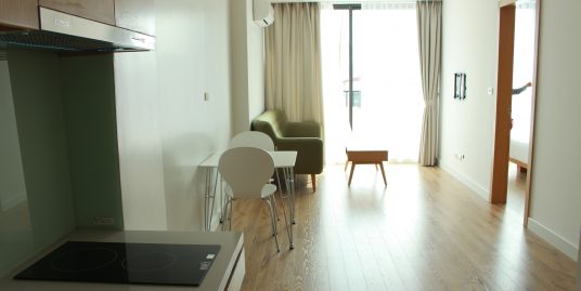Brand new serviced apartment Ba Dinh Hanoi