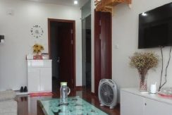 apartment green stars (3)