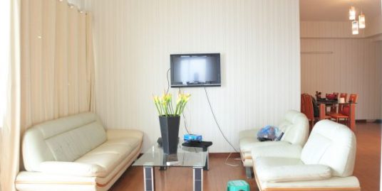Budget Ciputra apartment in E4 building for rent