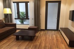 serviced apartment phan boi chau