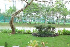 biệt thự vinhomes