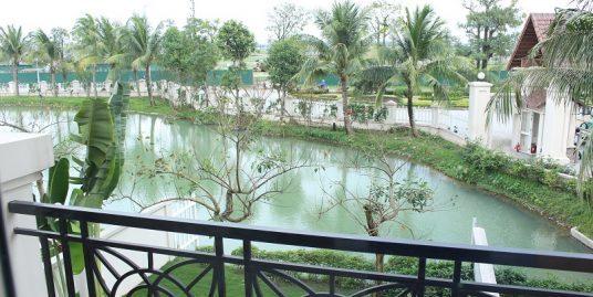 Vinhomes Riverside Villa Rental