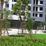 cho thuê căn hộ tại goldmark city