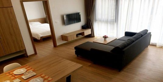 Brand new Apartment near Somerset Hoa Binh for rent