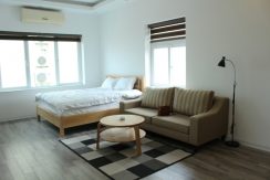 studio apartment westlake