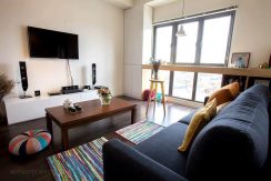 apartment for rent in home city
