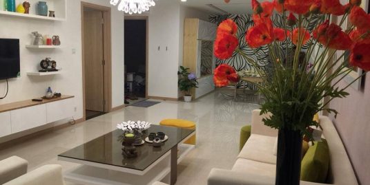 Best budget for luxury aparment in Thang Long Number One