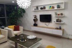 Best budget for luxury aparment in Thang Long Number One
