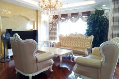 The biggest apartment Royal City
