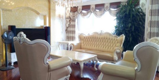 The biggest size apartment in Royal City