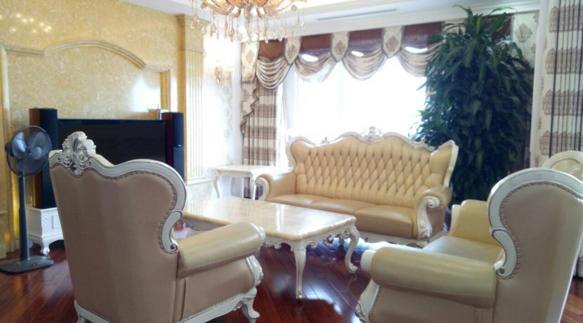 The biggest apartment Royal City